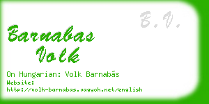 barnabas volk business card